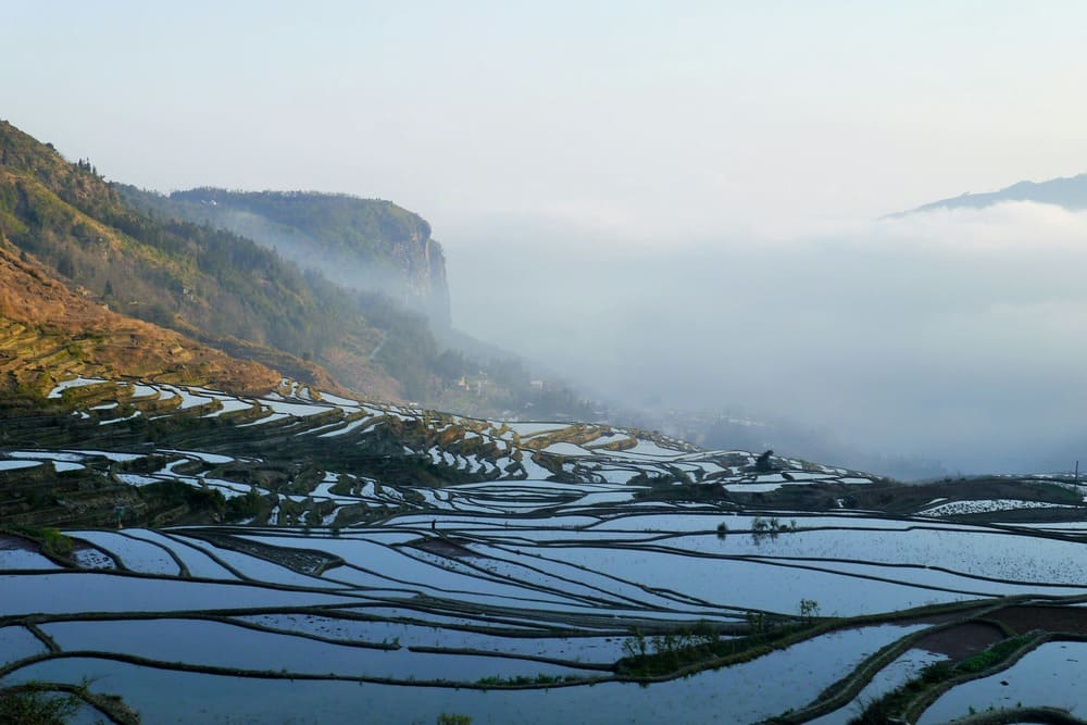 yunnan siembras de arroz